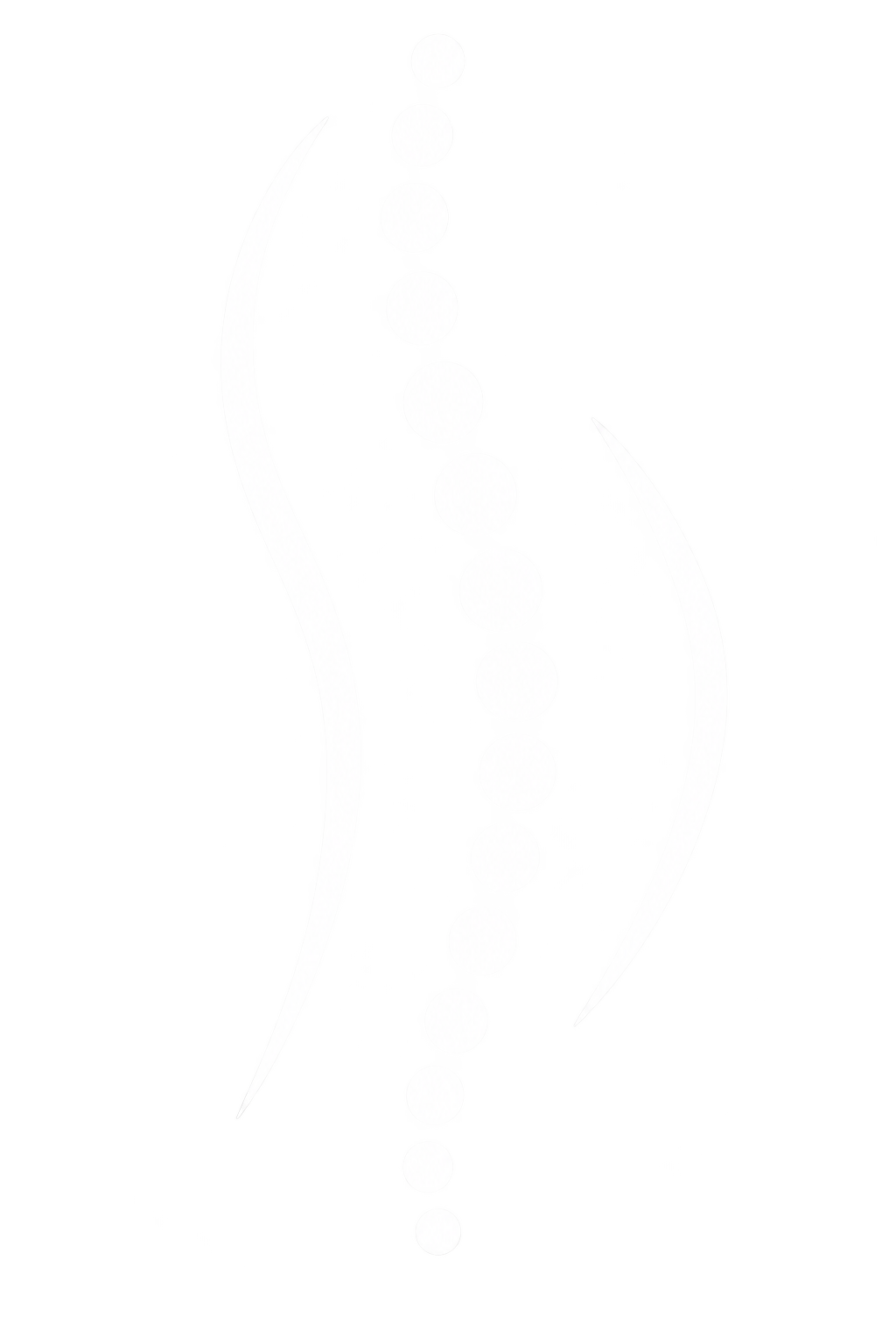 Wirbelsäule